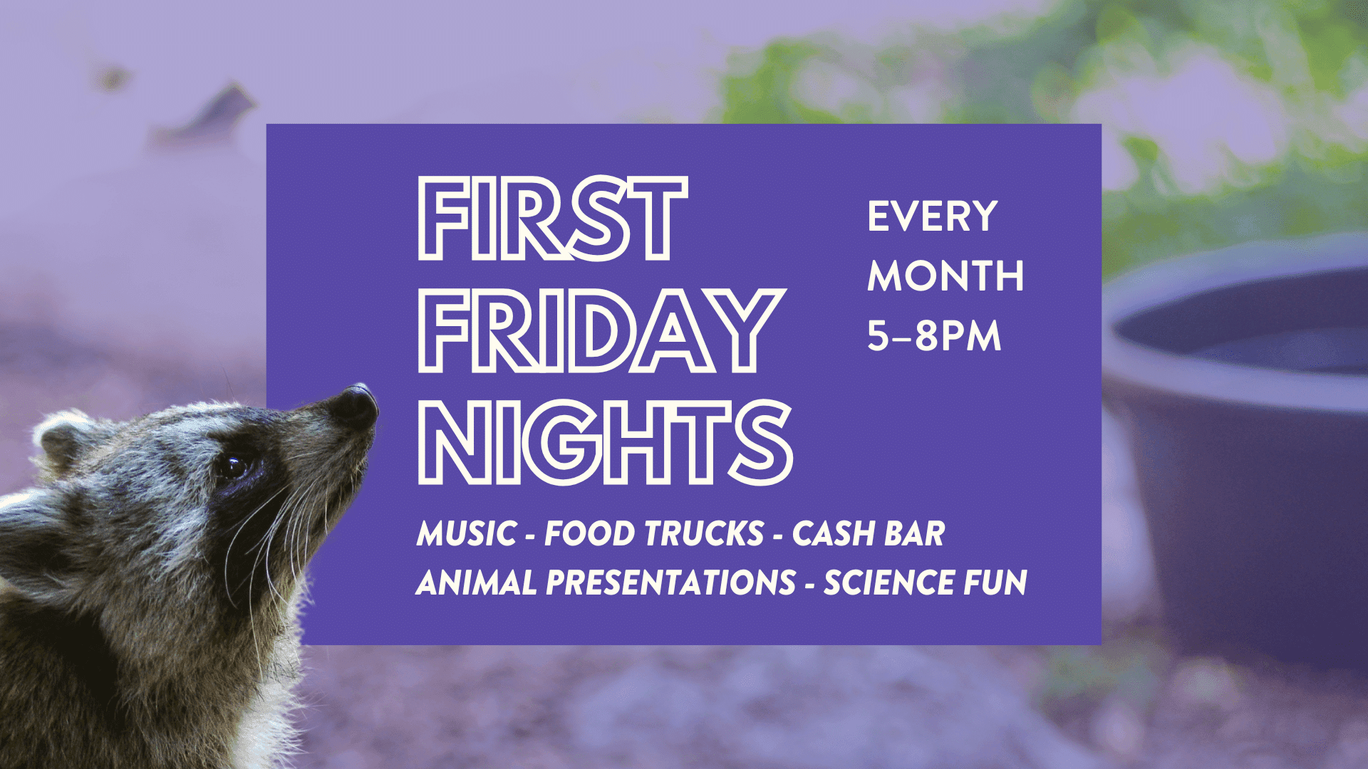 First Friday Nights at CuriOdyssey