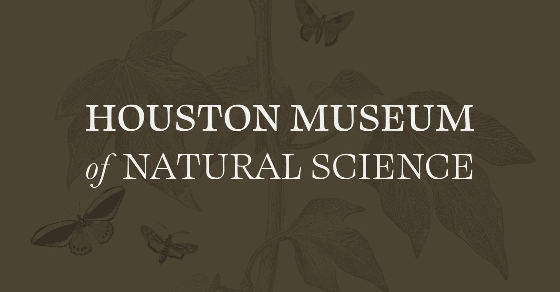 Clickbait: A Digital Obsession — HMNS