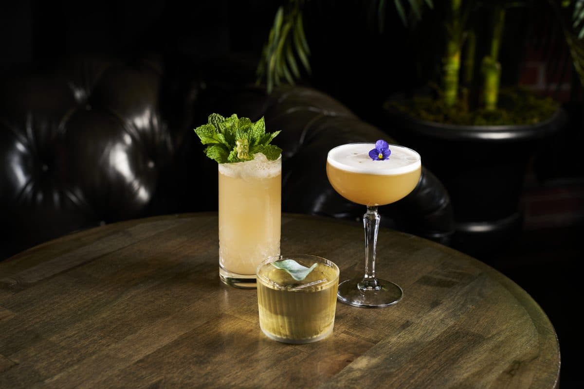 Highball